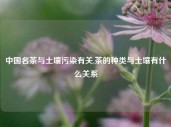 中国名茶与土壤污染有关,茶的种类与土壤有什么关系