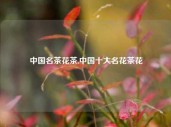 中国名茶花茶,中国十大名花茶花