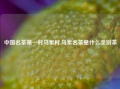 中国名茶第一村乌岽村,乌岽名茶是什么类别茶