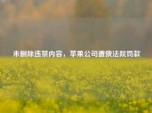 未删除违禁内容，苹果公司遭俄法院罚款