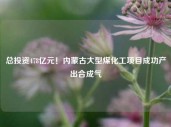 总投资478亿元！内蒙古大型煤化工项目成功产出合成气