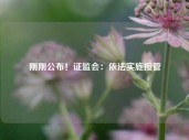 刚刚公布！证监会：依法实施接管