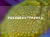 中国名茶雪芽茶,雪芽茶属于什么茶