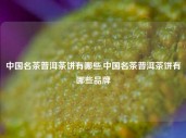 中国名茶普洱茶饼有哪些,中国名茶普洱茶饼有哪些品牌