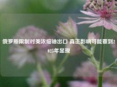 俄罗斯限制对美浓缩铀出口 真正影响可能要到2025年显现