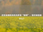 这类金融机构年内多家“换帅”，背后原因是什么？