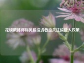 花旗策略师称美股投资者应关注候选人政策