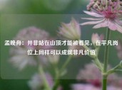 孟晚舟：并非站在山顶才能被看见，在平凡岗位上同样可以成就非凡价值