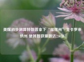 美媒初步测算特朗普拿下“摇摆州”北卡罗来纳州 使其暂获票数达230张