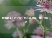 中国名茶厂名子叫什么名字,名茶厂排行榜前10名