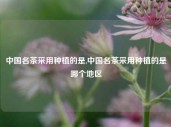 中国名茶采用种植的是,中国名茶采用种植的是哪个地区