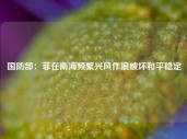 国防部：菲在南海频繁兴风作浪破坏和平稳定