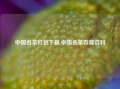 中国名茶打包下载,中国名茶百度百科