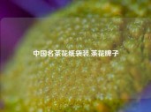 中国名茶花纸袋装,茶花牌子