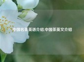 中国名茶英语介绍,中国茶英文介绍