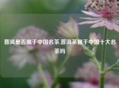 普洱是否属于中国名茶,普洱茶属于中国十大名茶吗