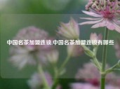 中国名茶加盟连锁,中国名茶加盟连锁有哪些