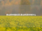 君山的中国名茶,君山的茶叶叫什么