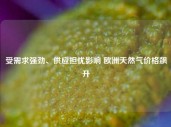 受需求强劲、供应担忧影响 欧洲天然气价格飙升