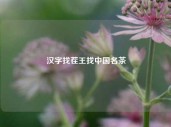 汉字找茬王找中国名茶