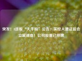 突发！8连板“大牛股”公告：实控人遭证监会立案调查！公司股票已停牌