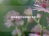 创业板指午后跌幅扩大至2%