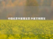 中国名茶华夏瑰宝茶,华夏文明瑰宝