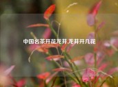 中国名茶开花龙井,龙井开几花