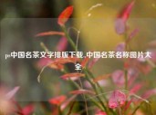 ps中国名茶文字排版下载.,中国名茶名称图片大全