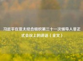 习近平在亚太经合组织第三十一次领导人非正式会议上的讲话（全文）