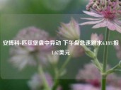 安博科-匹兹堡盘中异动 下午盘急速跳水6.18%报1.67美元