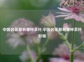 中国名茶都有哪种茶叶,中国名茶都有哪种茶叶好喝