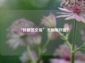 “特朗普交易”才刚刚开始？