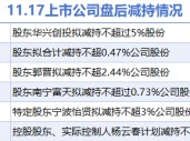 11月17日上市公司减持汇总：远翔新材等6股拟减持（表）