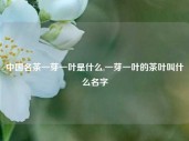 中国名茶一芽一叶是什么,一芽一叶的茶叶叫什么名字