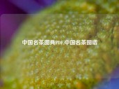 中国名茶图典PDF,中国名茶图谱