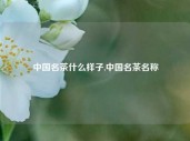 中国名茶什么样子,中国名茶名称