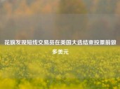 花旗发现短线交易员在美国大选结束投票前做多美元