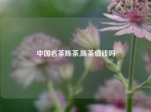 中国名茶陈茶,陈茶值钱吗