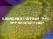 比亚迪财险披露首个完整季度业绩：承保约12万辆车 直销渠道能否降本增效？