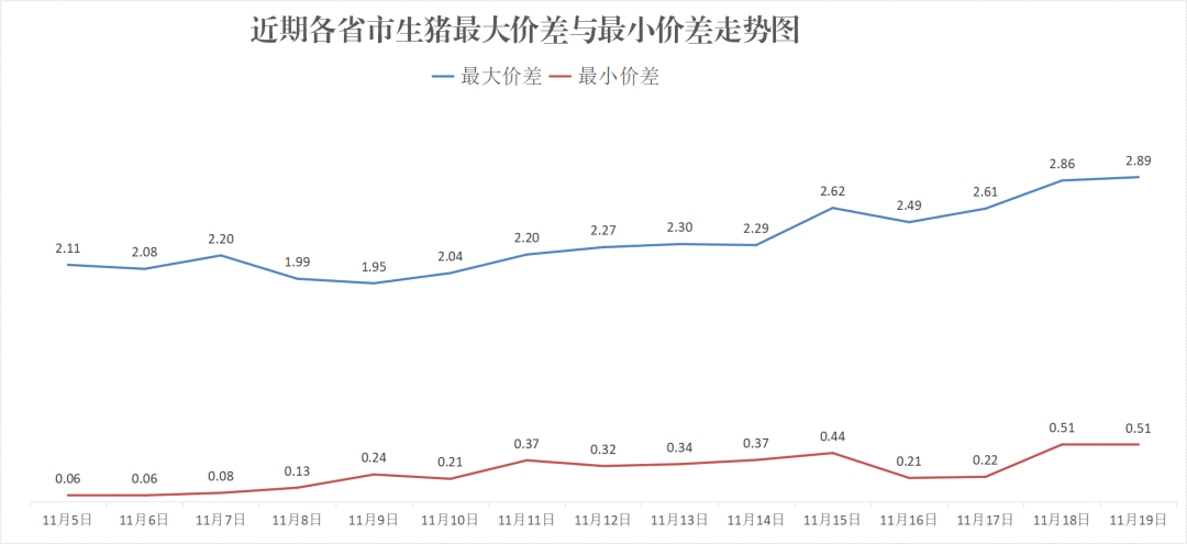 每日猪讯11.19