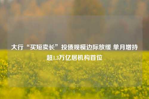 大行“买短卖长”投债规模边际放缓 单月增持超1.3万亿居机构首位