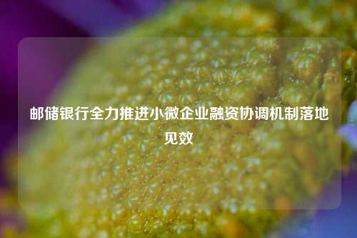 邮储银行全力推进小微企业融资协调机制落地见效