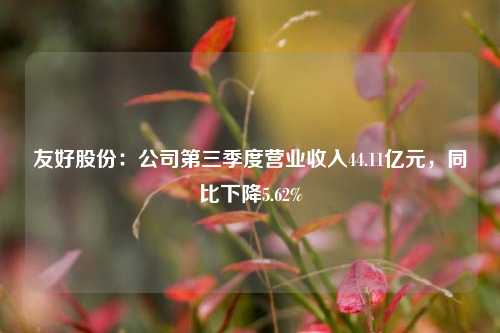 友好股份：公司第三季度营业收入44.11亿元，同比下降5.62%