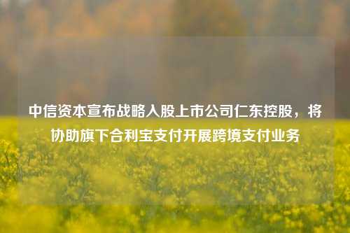 中信资本宣布战略入股上市公司仁东控股，将协助旗下合利宝支付开展跨境支付业务