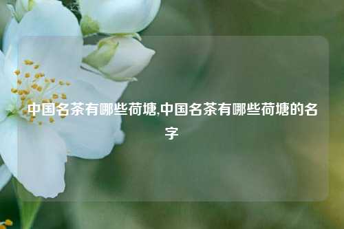 中国名茶有哪些荷塘,中国名茶有哪些荷塘的名字