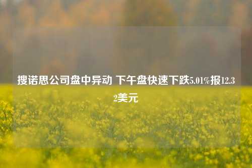 搜诺思公司盘中异动 下午盘快速下跌5.01%报12.32美元