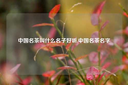 中国名茶叫什么名子好听,中国名茶名字