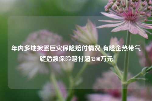 年内多地披露巨灾保险赔付情况 有险企热带气旋指数保险赔付超3200万元