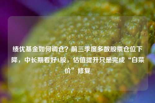 绩优基金如何调仓？前三季度多数股票仓位下降，中长期看好A股，估值提升只是完成“白菜价”修复